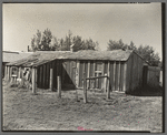 Barn on cut-over farm, Littlefork, Minnesota