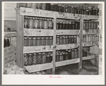 Canned fruits and vegetables in Edward Chapman's cellar, Northome, Minnesota