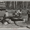 Lumberjacks resting. Camp near Effie, Minnesota