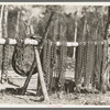 Chains at lumber camp near Effie, Minnesota