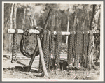 Chains at lumber camp near Effie, Minnesota