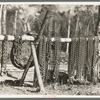 Chains at lumber camp near Effie, Minnesota