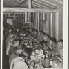 Lumberjacks at dinner. Camp near Effie, Minnesota