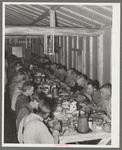 Lumberjacks at dinner. Camp near Effie, Minnesota