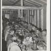 Lumberjacks at dinner. Camp near Effie, Minnesota
