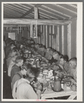 Lumberjacks at dinner. Camp near Effie, Minnesota