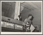 Removing finished cartons of packaged rice from conveyer-presser. State rice mill, Abbeville, Louisiana