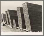 Piles of lumber at sawmill. Sorrento, Louisiana