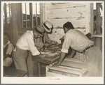 Tagging exhibits at South Louisiana State Fair. Donaldsonville, Louisiana