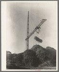 Piling sugar cane at mill near Jeanerette, La