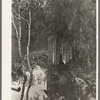 Privy in bayou. Akers, Louisiana