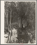Privy in bayou. Akers, Louisiana