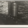 Sugar cane in the process of being crushed, syrup mill near New Iberia, Louisana