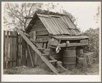 Shed on farm of W.E. Smith near Morganza, Louisiana