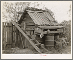 Shed on farm of W.E. Smith near Morganza, Louisiana