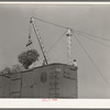 Loading sugarcane into boxcars near Delcambre, Louisiana