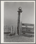 Old bell on sugarcane plantation near Gibson, Louisiana