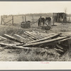 Condition of crossing over ditch. Mules' shack in background on temporary farmstead. Transylvania Project, Louisiana. Until recently this was occupied by Negro sharecropper