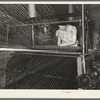 Operator of winding machine in Laurel Cotton Mill repairing break in thread. Laurel, Mississippi