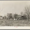 Typical farmstead near Lake Providence, Louisiana