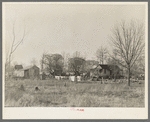 Typical farmstead near Lake Providence, Louisiana