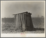 Privy, sharecropper's farm. Transylvania, Louisiana