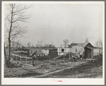 Farmstead of Negro sharecropper with sharecropper carrying water. Near Transylvania, Louisiana