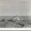 Negro sharecropper's farmstead against the levee. Near Lake Providence, Louisiana