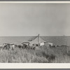 Negro sharecropper's farmstead against the levee. Near Lake Providence, Louisiana