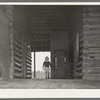 Child of Ed Baggett, sharecropper, walking through open space in dog trot cabin near Laurel, Mississippi