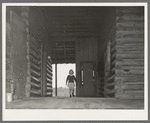 Child of Ed Baggett, sharecropper, walking through open space in dog trot cabin near Laurel, Mississippi