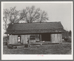 Dog trot cabin of Ed Bagget, sharecropper, near Laurel, Mississippi