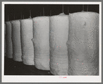 Row of cotton bats. Laurel cotton mills, Laurel, Mississippi