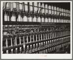 Thread-making machinery. Laurel cotton mill, Laurel, Mississippi