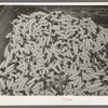 Bin of spindles. Laurel cotton mills, Laurel, Mississippi