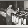 Converting cotton ropes into rough thread. Laurel cotton mills, Laurel, Mississippi