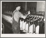 Converting cotton ropes into rough thread. Laurel cotton mills, Laurel, Mississippi