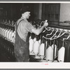 Converting cotton ropes into rough thread. Laurel cotton mills, Laurel, Mississippi