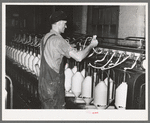 Converting cotton ropes into rough thread. Laurel cotton mills, Laurel, Mississippi