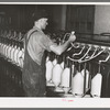 Converting cotton ropes into rough thread. Laurel cotton mills, Laurel, Mississippi
