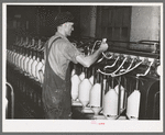 Converting cotton ropes into rough thread. Laurel cotton mills, Laurel, Mississippi