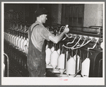 Converting cotton ropes into rough thread. Laurel cotton mills, Laurel, Mississippi