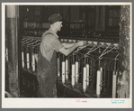 Converting cotton ropes into rough thread. Laurel Cotton Mill, Laurel, Mississippi