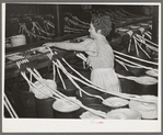 Threading cotton ropes into thread-making machine. Laurel cotton mill, Laurel, Mississippi
