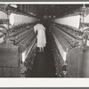 Cotton thread-making machinery. Laurel cotton mill, Laurel, Mississippi