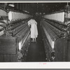 Cotton thread-making machinery. Laurel cotton mill, Laurel, Mississippi