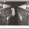 Cotton thread-making machinery. Laurel cotton mill, Laurel, Mississippi