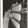 Removing spindles of large cotton thread from thread-making machinery. Laurel Cotton Mill, Laurel, Mississippi