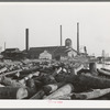 Lumber mill with logs in pond. Laurel, Mississippi