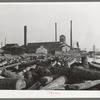 Lumber mill with logs in pond. Laurel, Mississippi